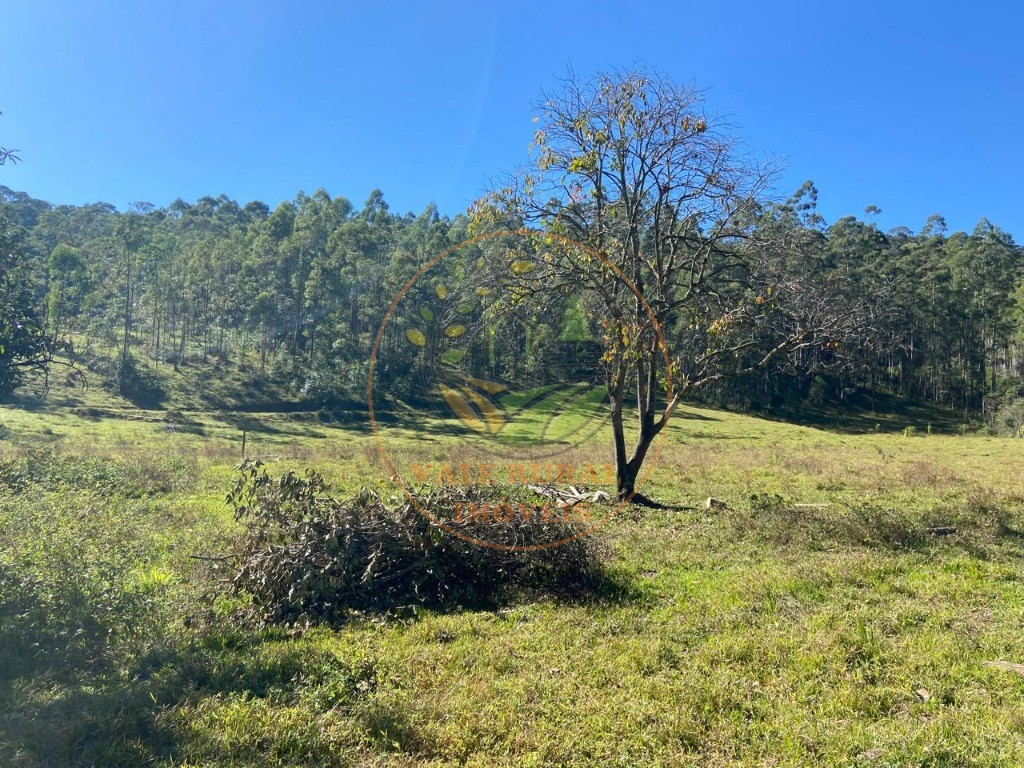 Fazenda à venda com 3 quartos, 36m² - Foto 50