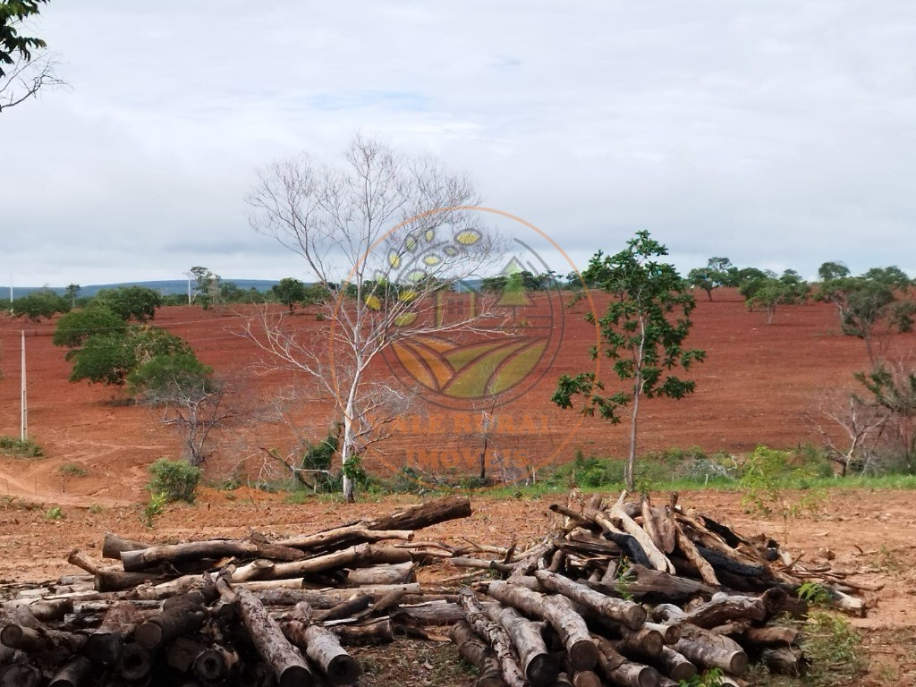 Fazenda à venda com 2 quartos, 576m² - Foto 6