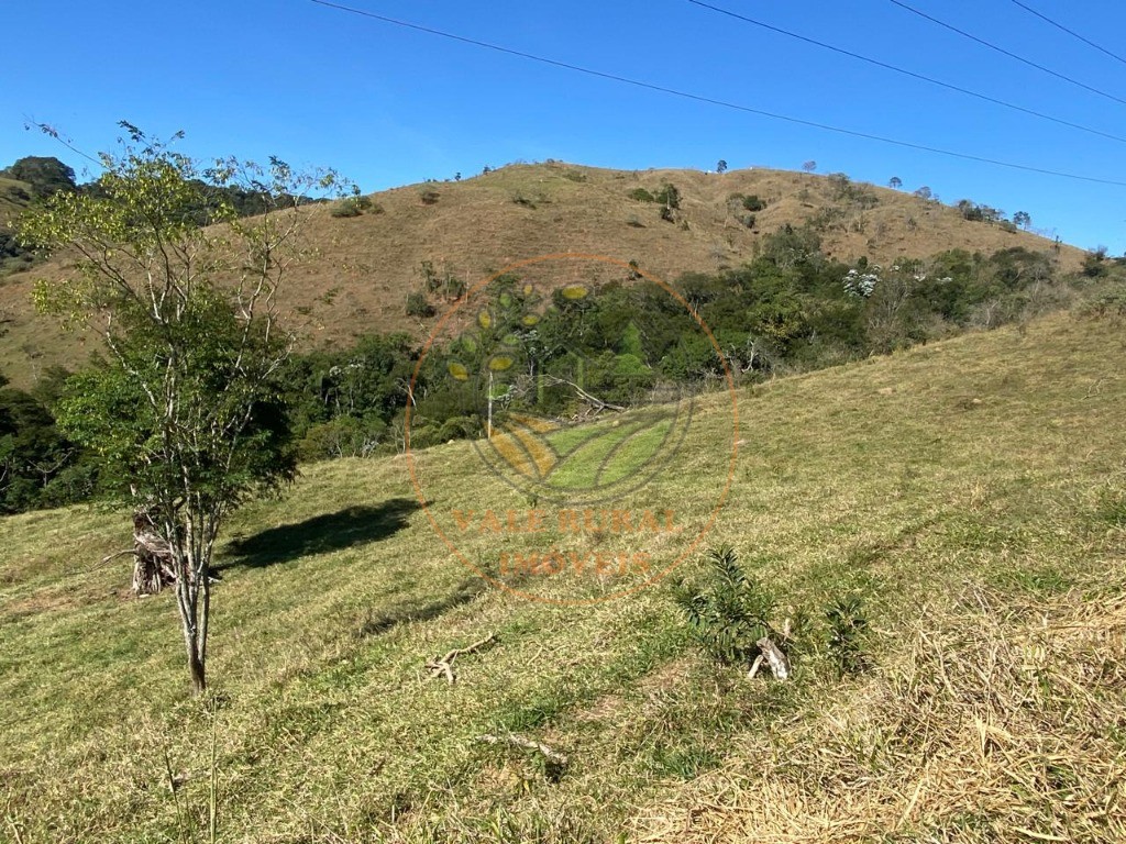 Haras e Área Rural Padrão à venda - Foto 5