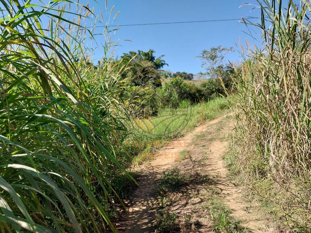 Haras e Área Rural Padrão à venda - Foto 3