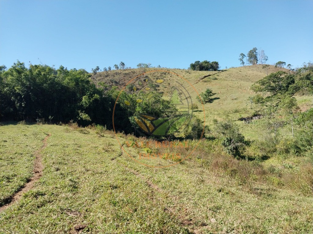 Haras e Área Rural Padrão à venda - Foto 1