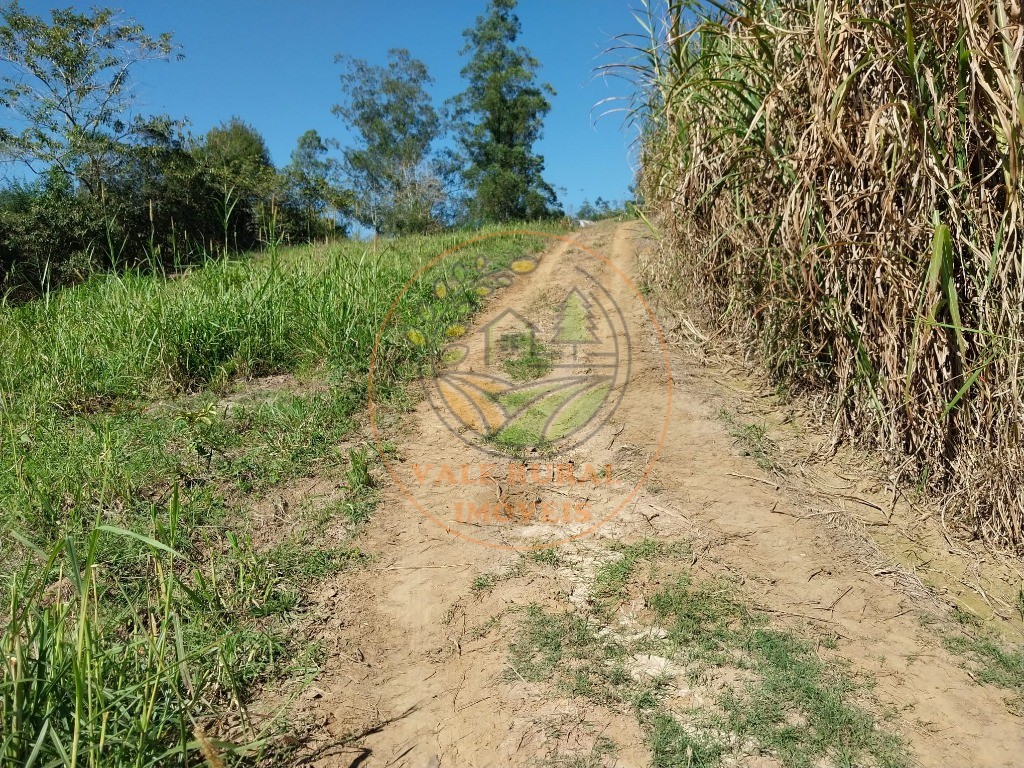 Haras e Área Rural Padrão à venda - Foto 9