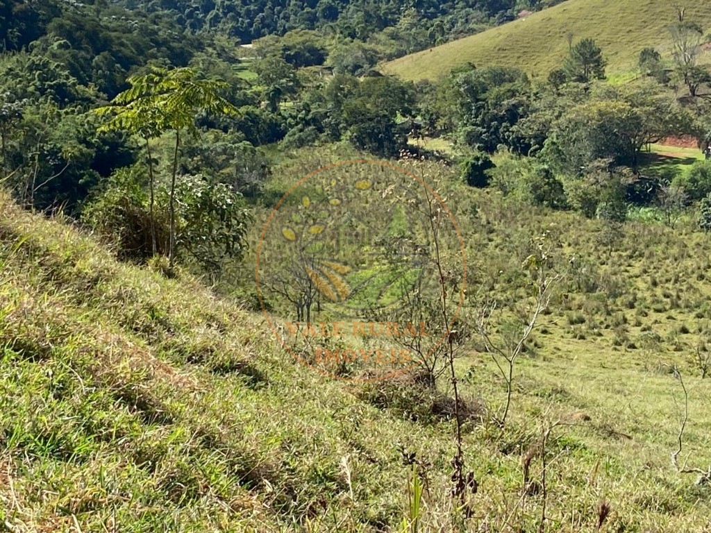 Haras e Área Rural Padrão à venda - Foto 12