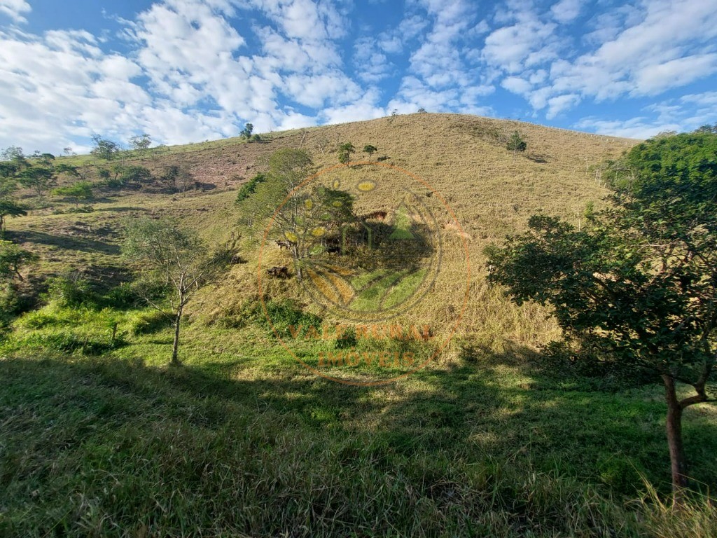 Chácara à venda com 2 quartos - Foto 41