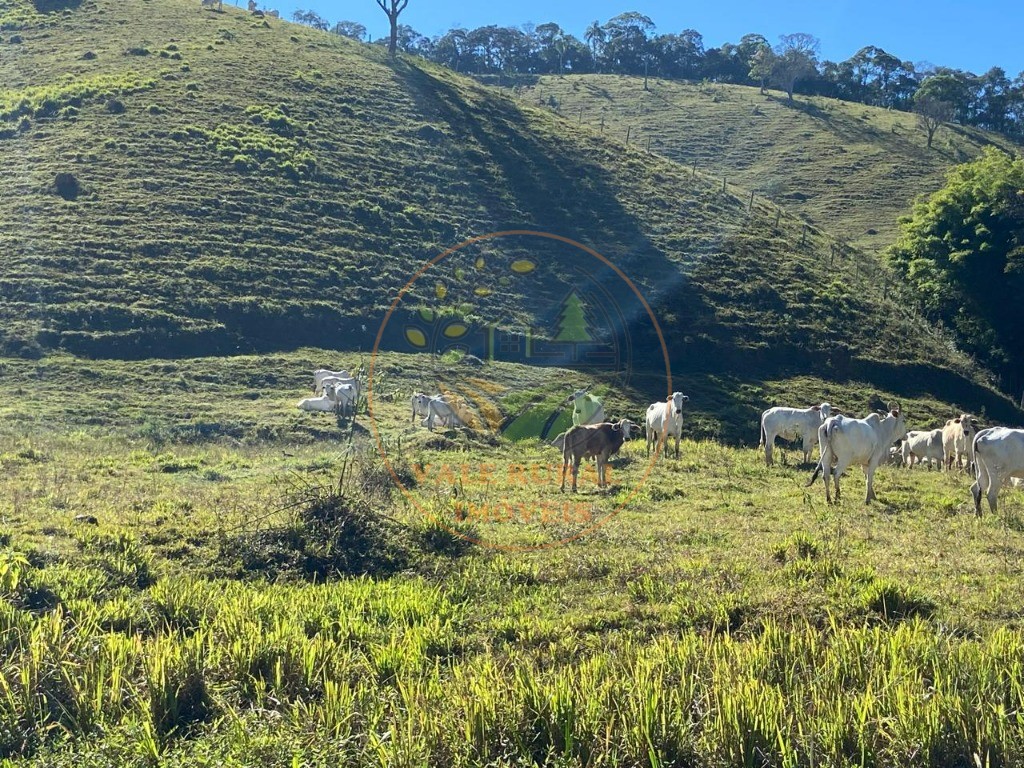 Fazenda à venda com 3 quartos, 36m² - Foto 25