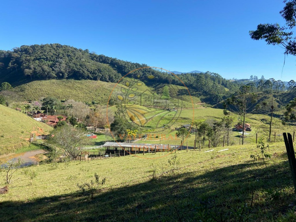 Fazenda à venda com 3 quartos, 36m² - Foto 43