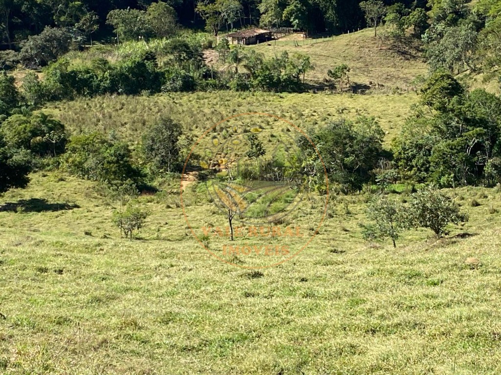 Haras e Área Rural Padrão à venda - Foto 11