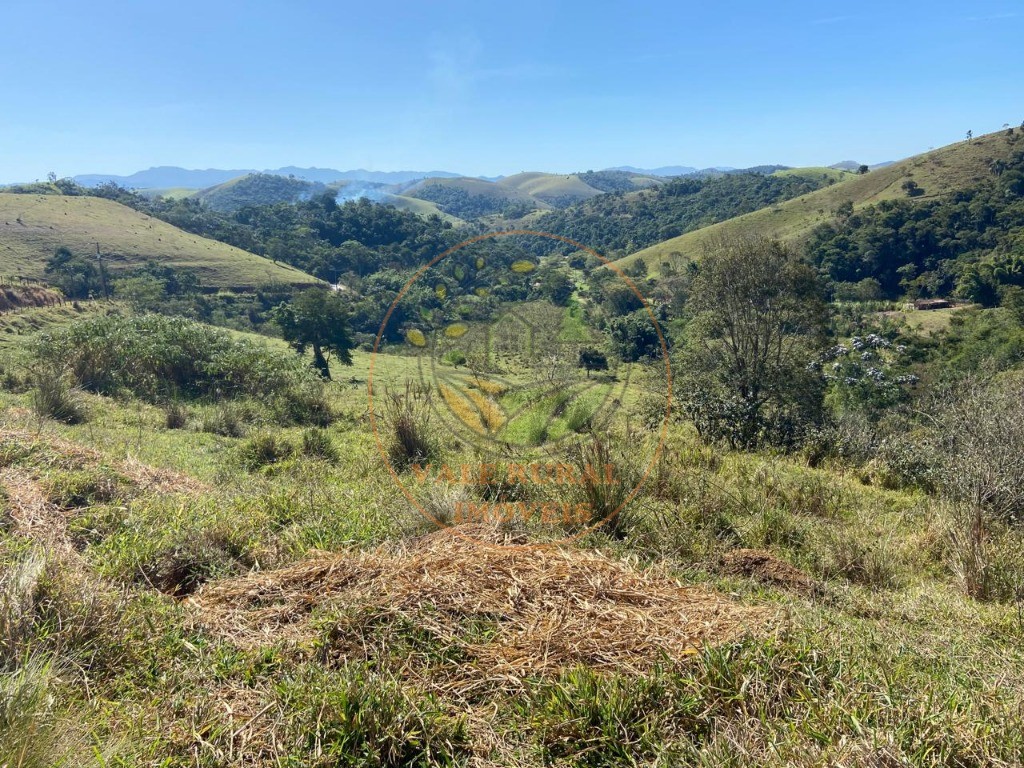 Haras e Área Rural Padrão à venda - Foto 9