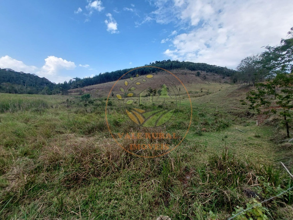 Fazenda à venda com 2 quartos, 20m² - Foto 68