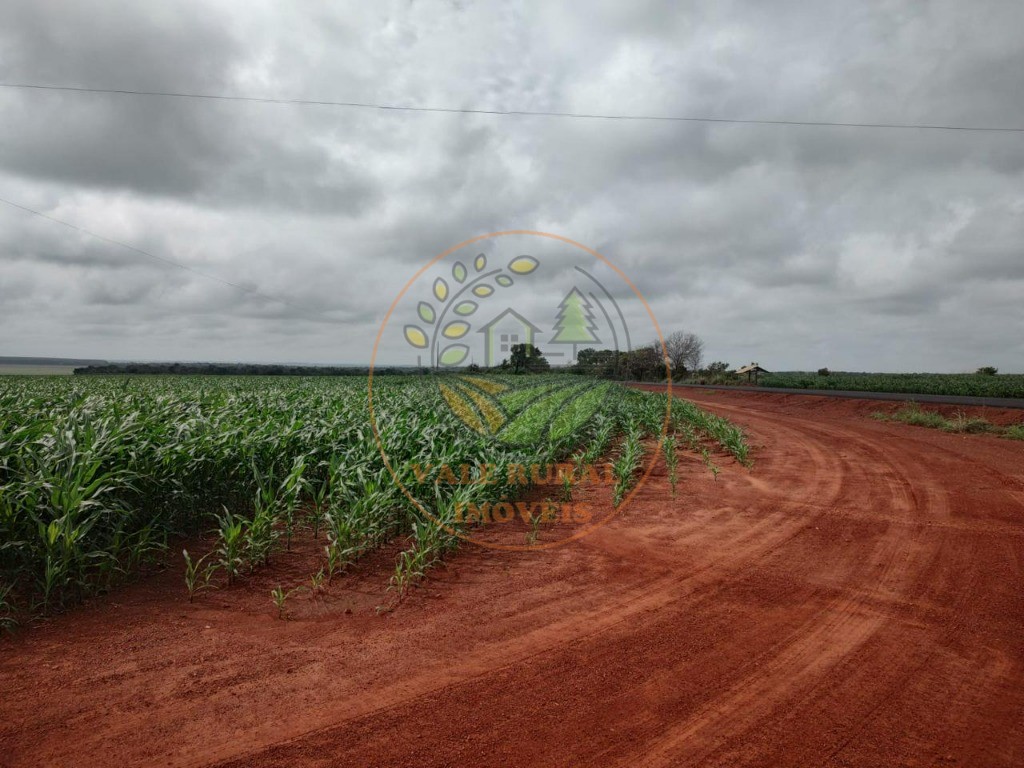 Fazenda à venda - Foto 9