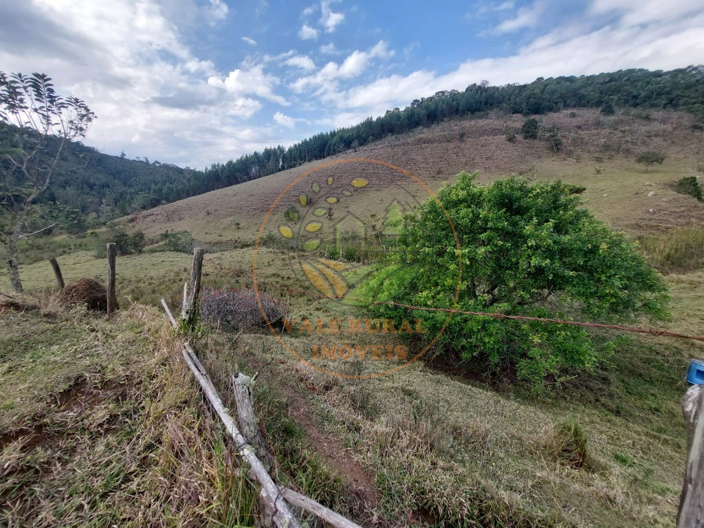 Fazenda à venda com 2 quartos, 20m² - Foto 46