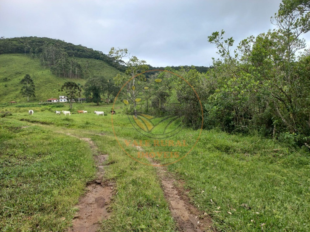 Fazenda à venda com 2 quartos, 83m² - Foto 23