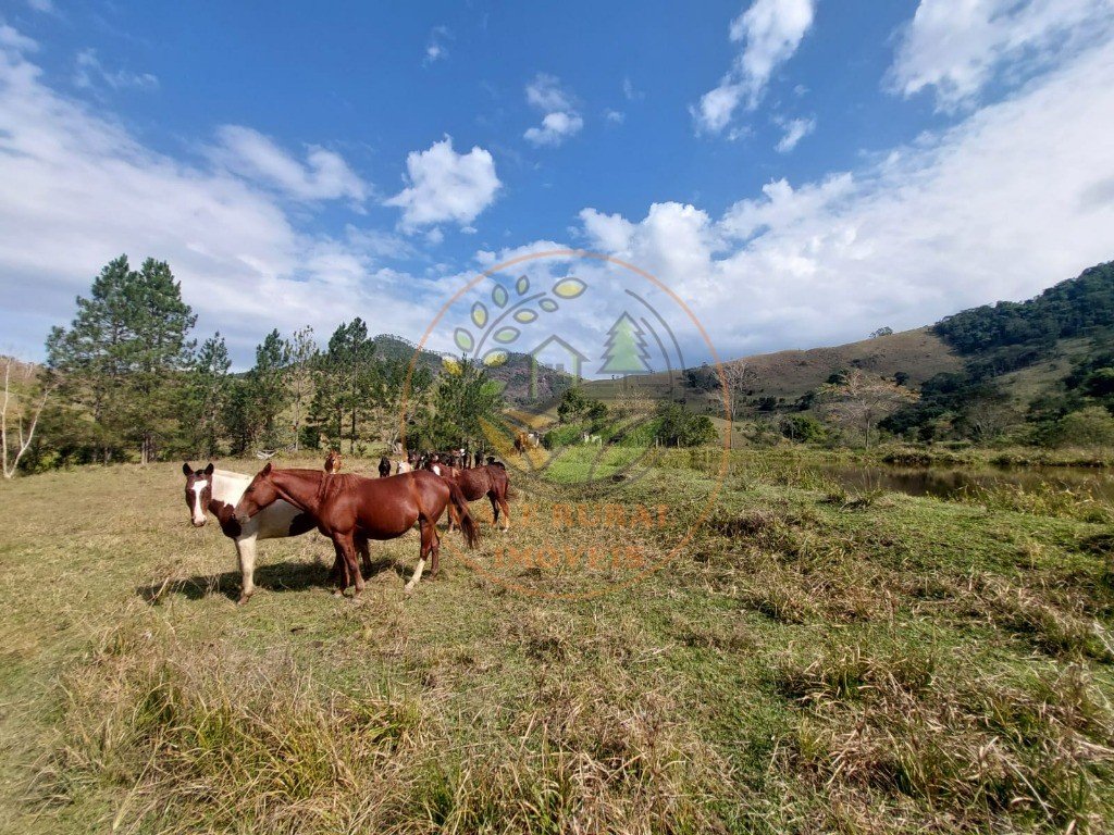 Fazenda à venda com 2 quartos, 20m² - Foto 37