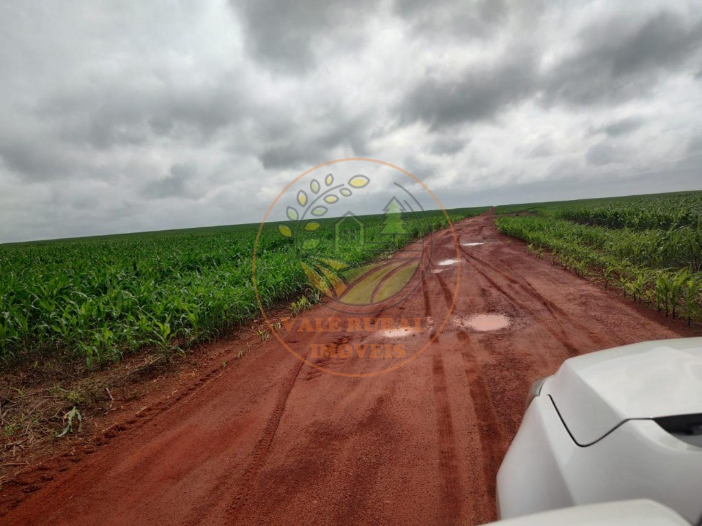 Fazenda à venda - Foto 12