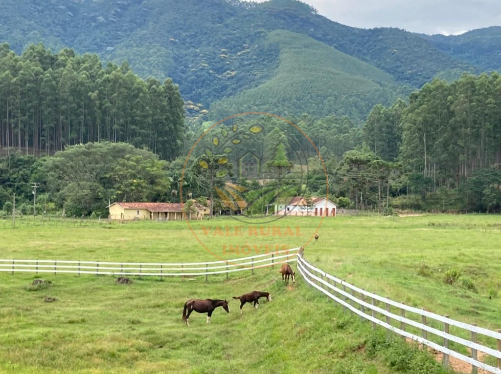 Fazenda à venda com 4 quartos, 32m² - Foto 34