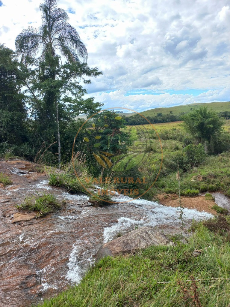 Sítio à venda - Foto 4