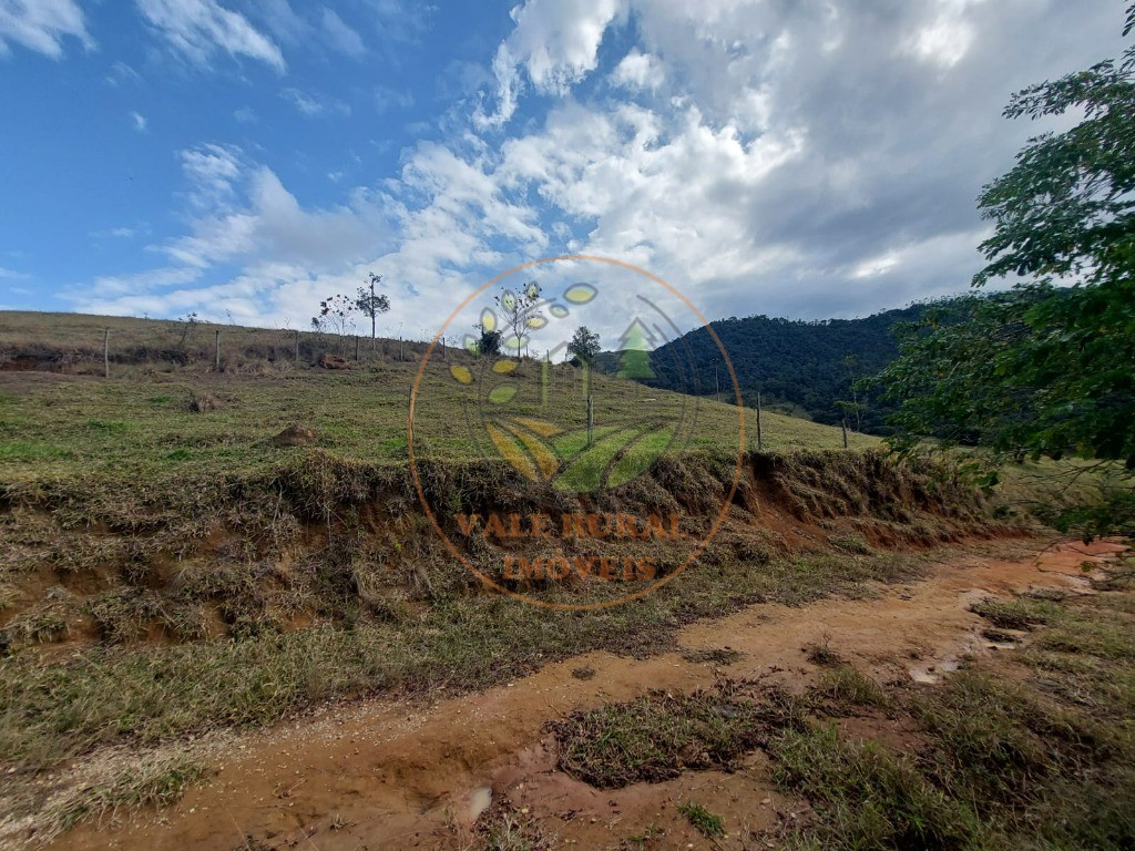 Fazenda à venda com 2 quartos, 20m² - Foto 49