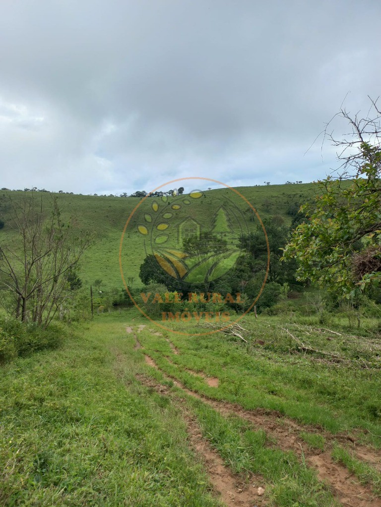 Fazenda à venda com 2 quartos, 83m² - Foto 20