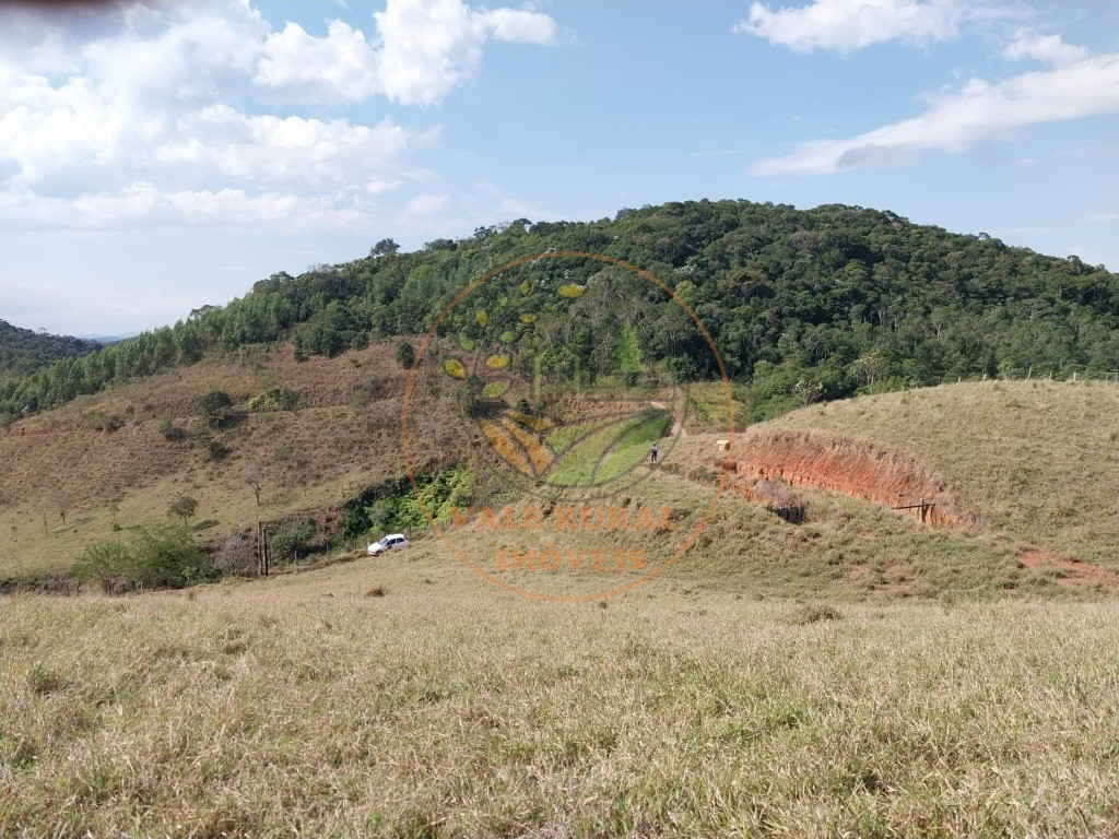 Fazenda à venda com 2 quartos, 20m² - Foto 62