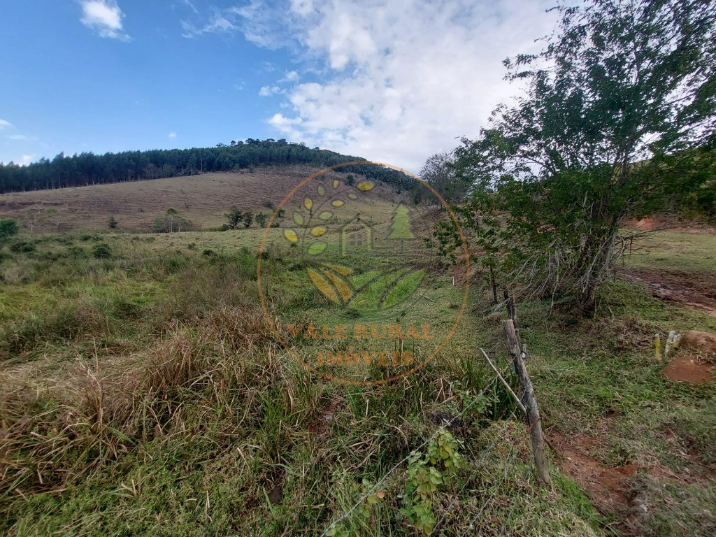 Fazenda à venda com 2 quartos, 20m² - Foto 66