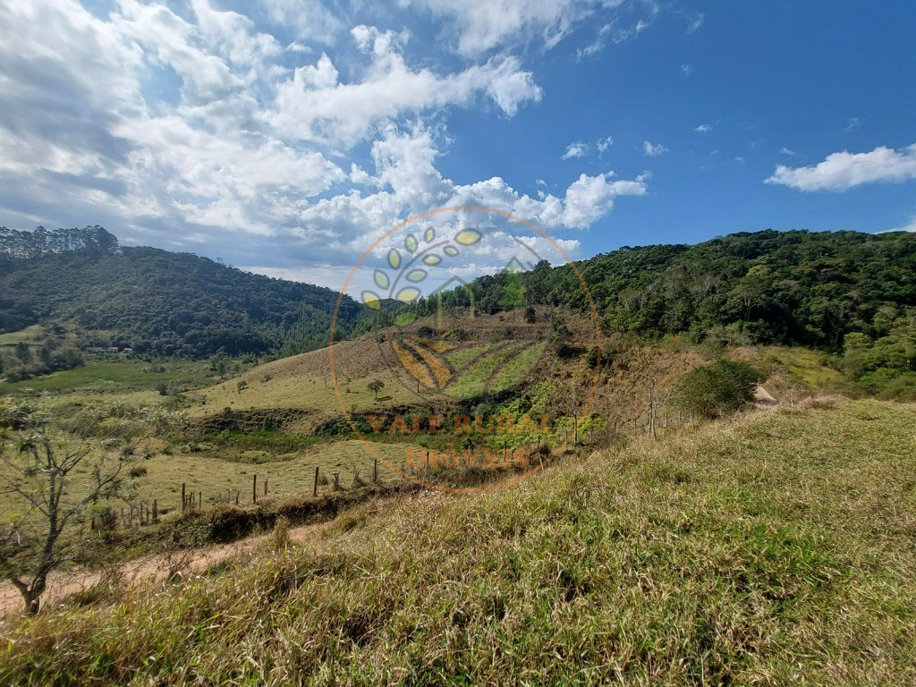 Fazenda à venda com 2 quartos, 20m² - Foto 17