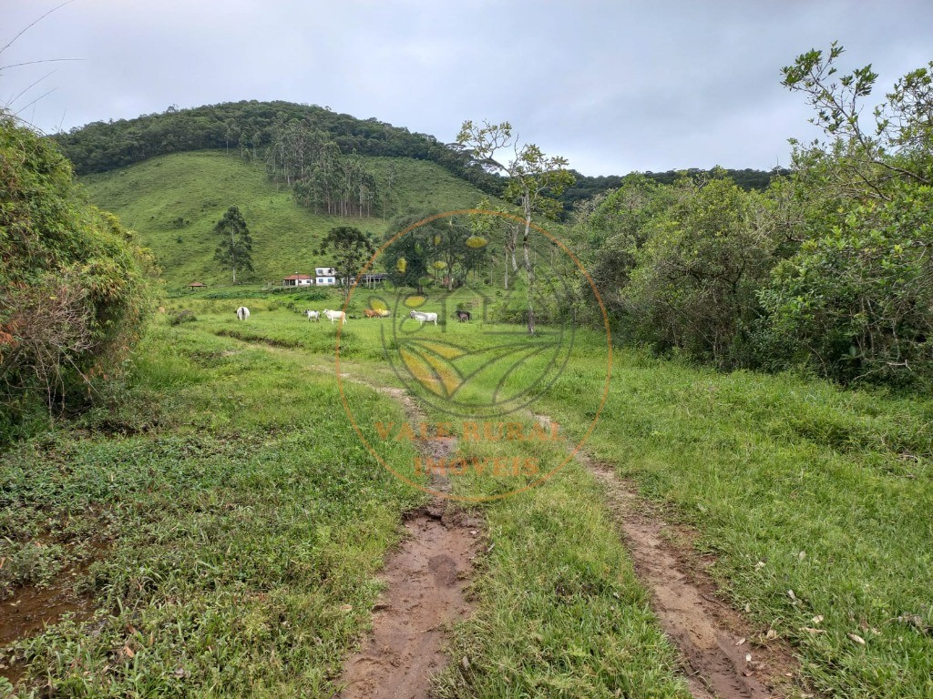 Fazenda à venda com 2 quartos, 83m² - Foto 7