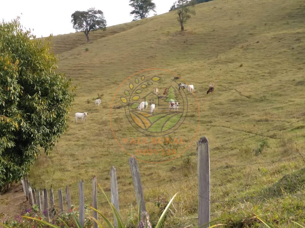 Fazenda à venda com 4 quartos, 32m² - Foto 31