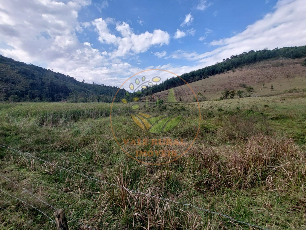 Fazenda à venda com 2 quartos, 20m² - Foto 42