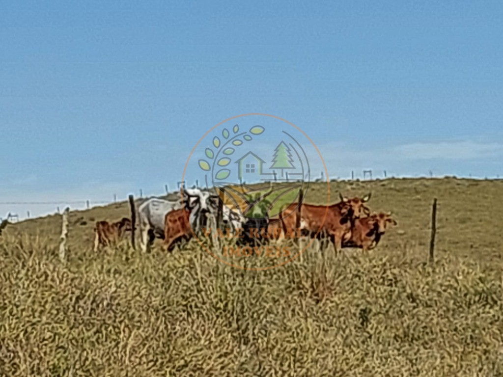 Fazenda à venda com 2 quartos, 20m² - Foto 6