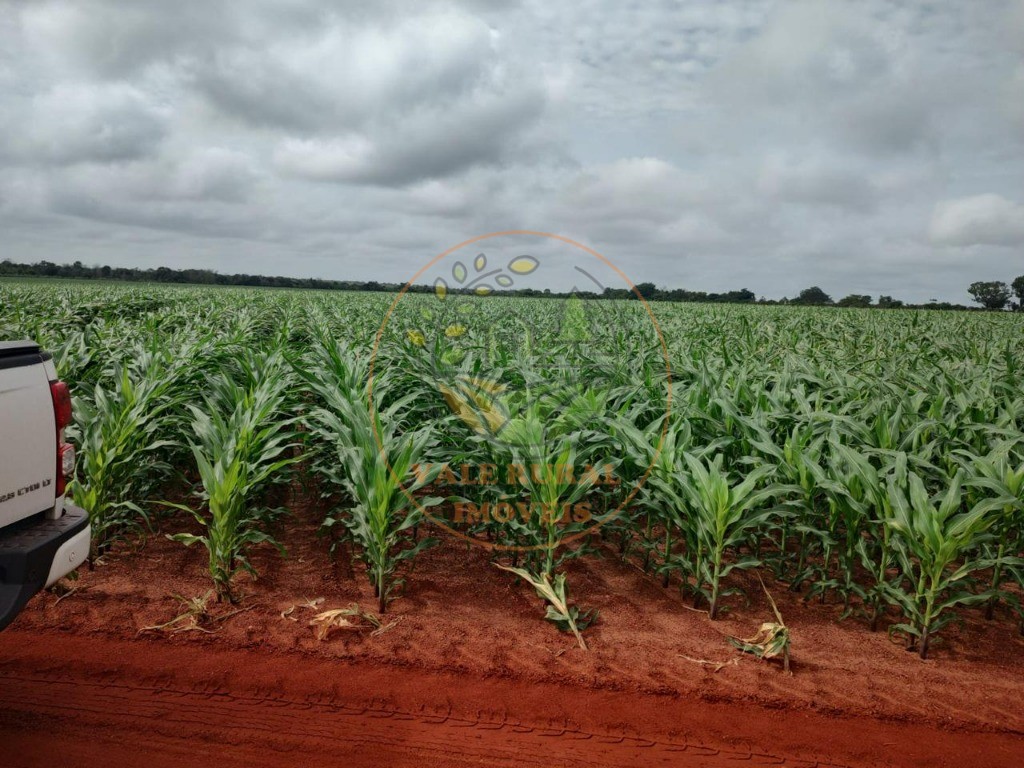 Fazenda à venda - Foto 8