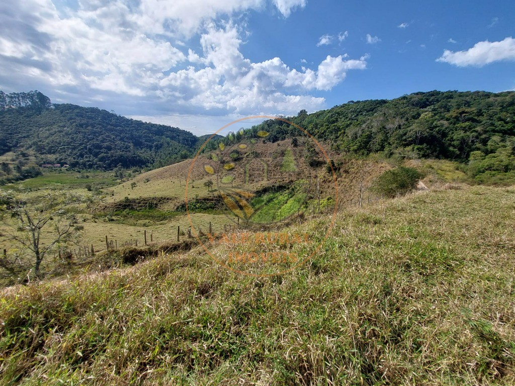 Fazenda à venda com 2 quartos, 20m² - Foto 16