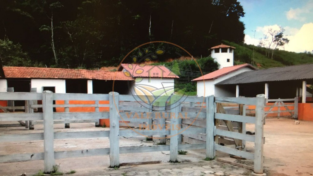 Fazenda à venda com 4 quartos, 32m² - Foto 20