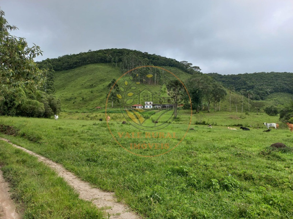 Fazenda à venda com 2 quartos, 83m² - Foto 10