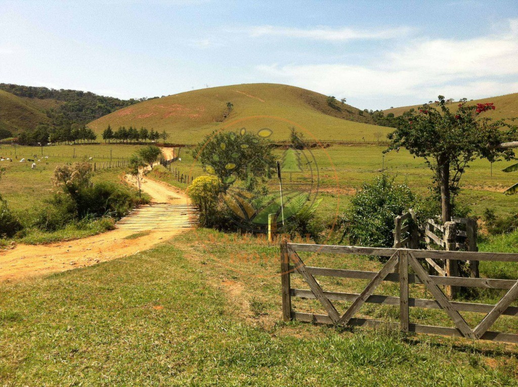 Fazenda à venda com 1 quarto, 106m² - Foto 5