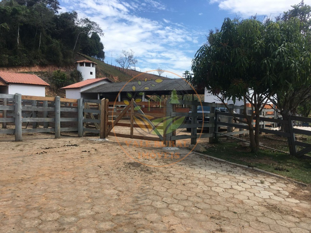 Fazenda à venda com 4 quartos, 32m² - Foto 58