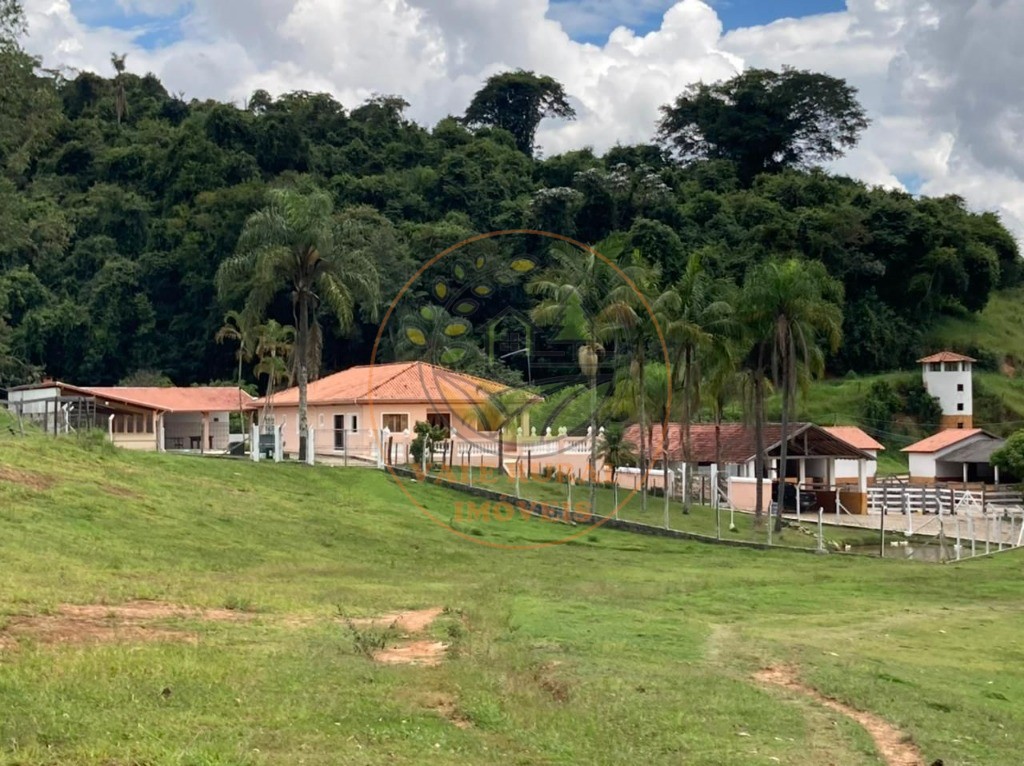 Fazenda à venda com 4 quartos, 32m² - Foto 43