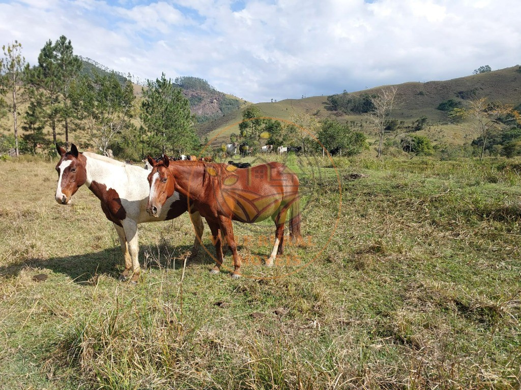 Fazenda à venda com 2 quartos, 20m² - Foto 43