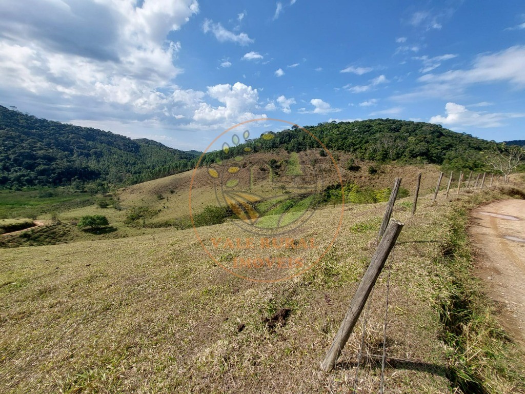 Fazenda à venda com 2 quartos, 20m² - Foto 4