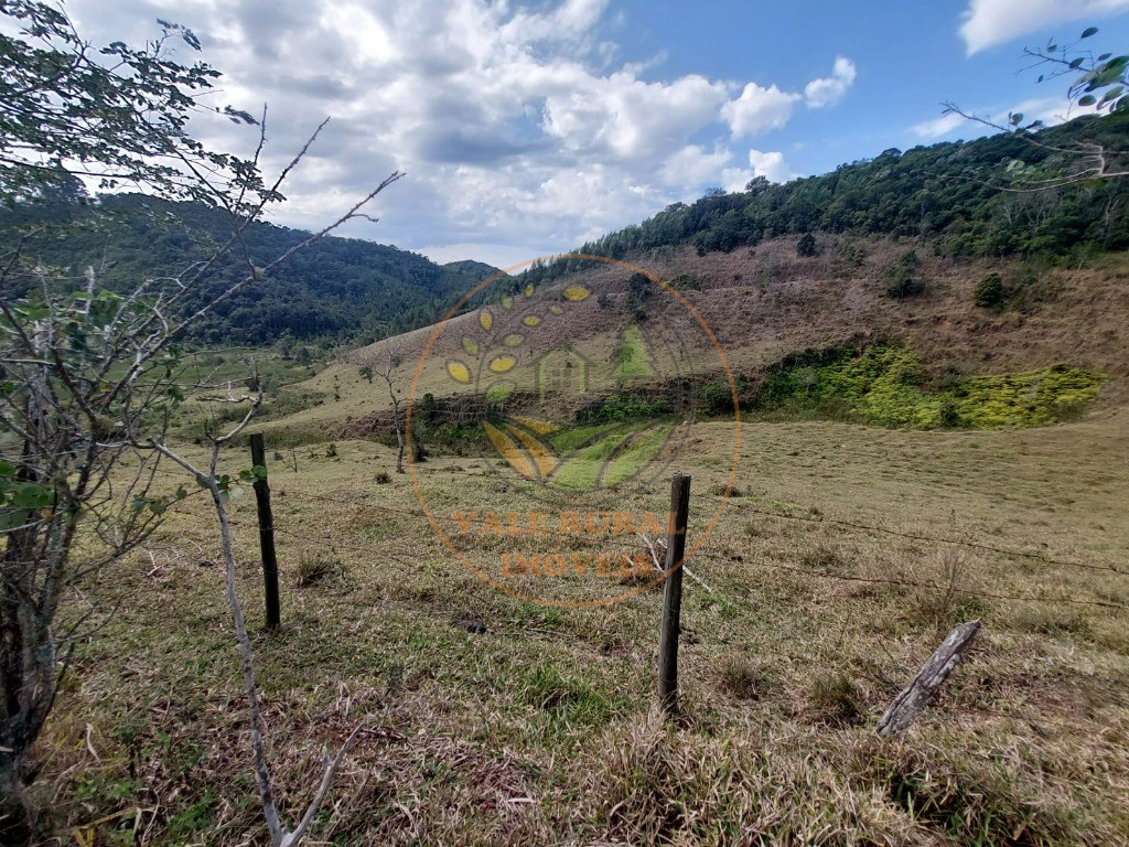 Fazenda à venda com 2 quartos, 20m² - Foto 50