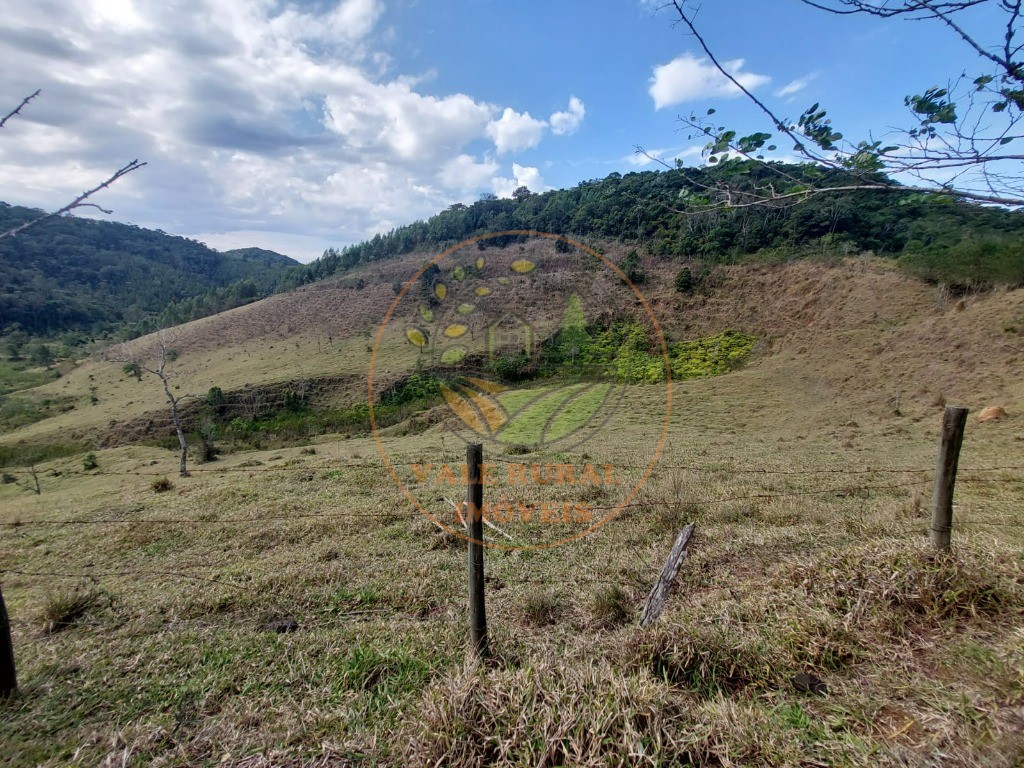 Fazenda à venda com 2 quartos, 20m² - Foto 54