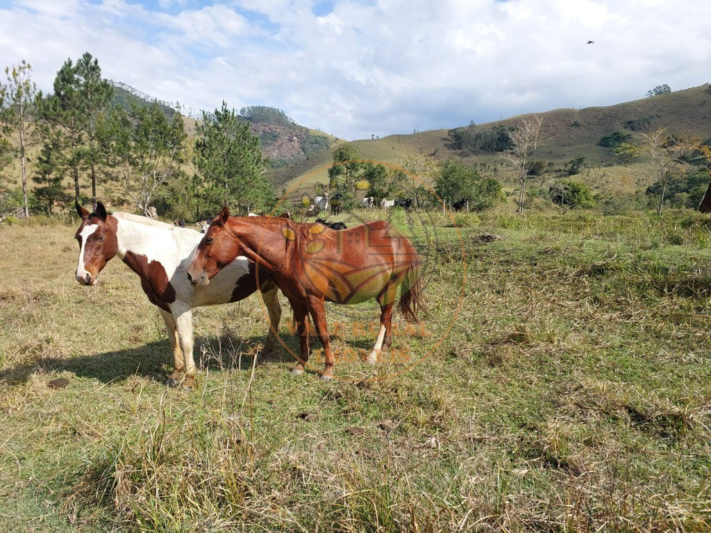 Fazenda à venda com 2 quartos, 20m² - Foto 40