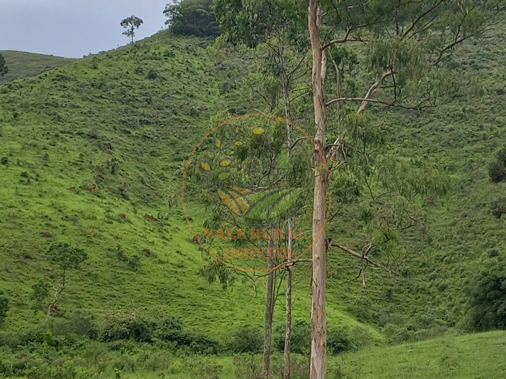 Fazenda à venda com 2 quartos, 83m² - Foto 11