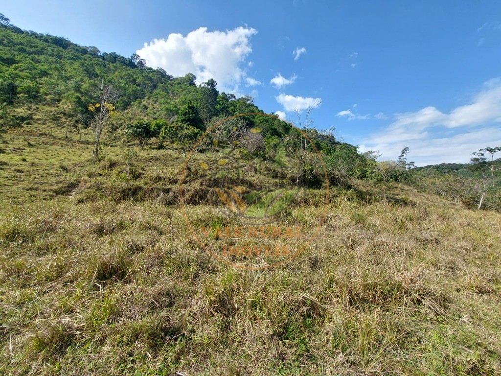 Fazenda à venda com 2 quartos, 20m² - Foto 29