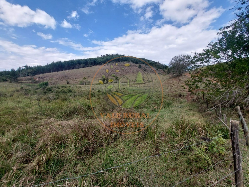 Fazenda à venda com 2 quartos, 20m² - Foto 41