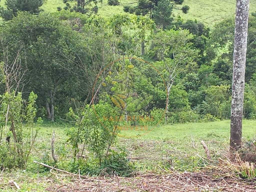 Fazenda à venda com 2 quartos, 83m² - Foto 19