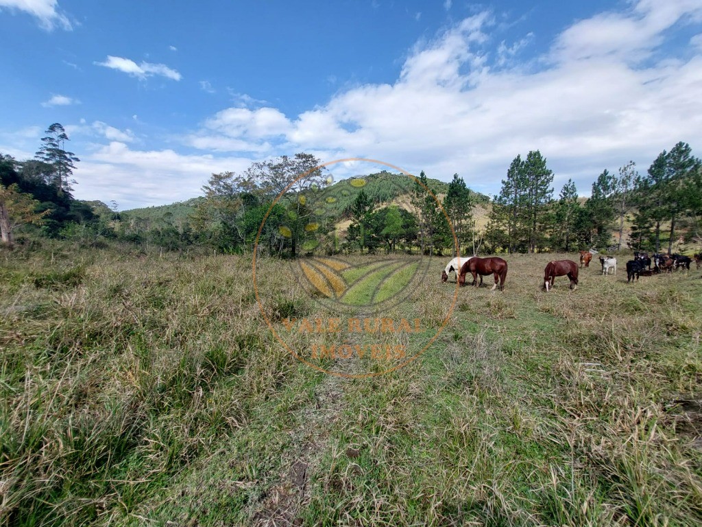 Fazenda à venda com 2 quartos, 20m² - Foto 34