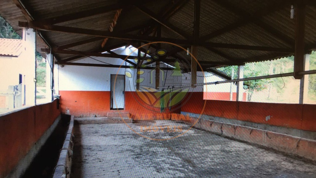 Fazenda à venda com 4 quartos, 32m² - Foto 21