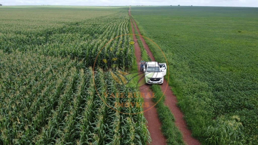 Fazenda à venda - Foto 1