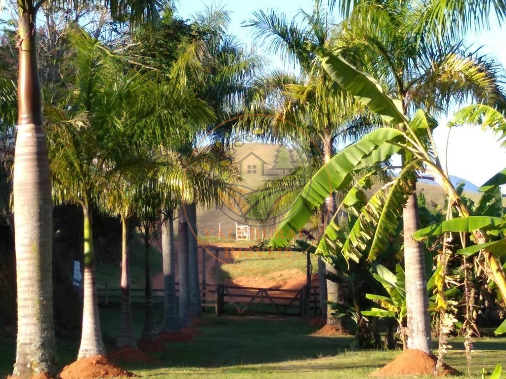 Fazenda à venda com 4 quartos, 32m² - Foto 3