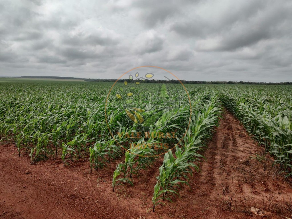 Fazenda à venda - Foto 16